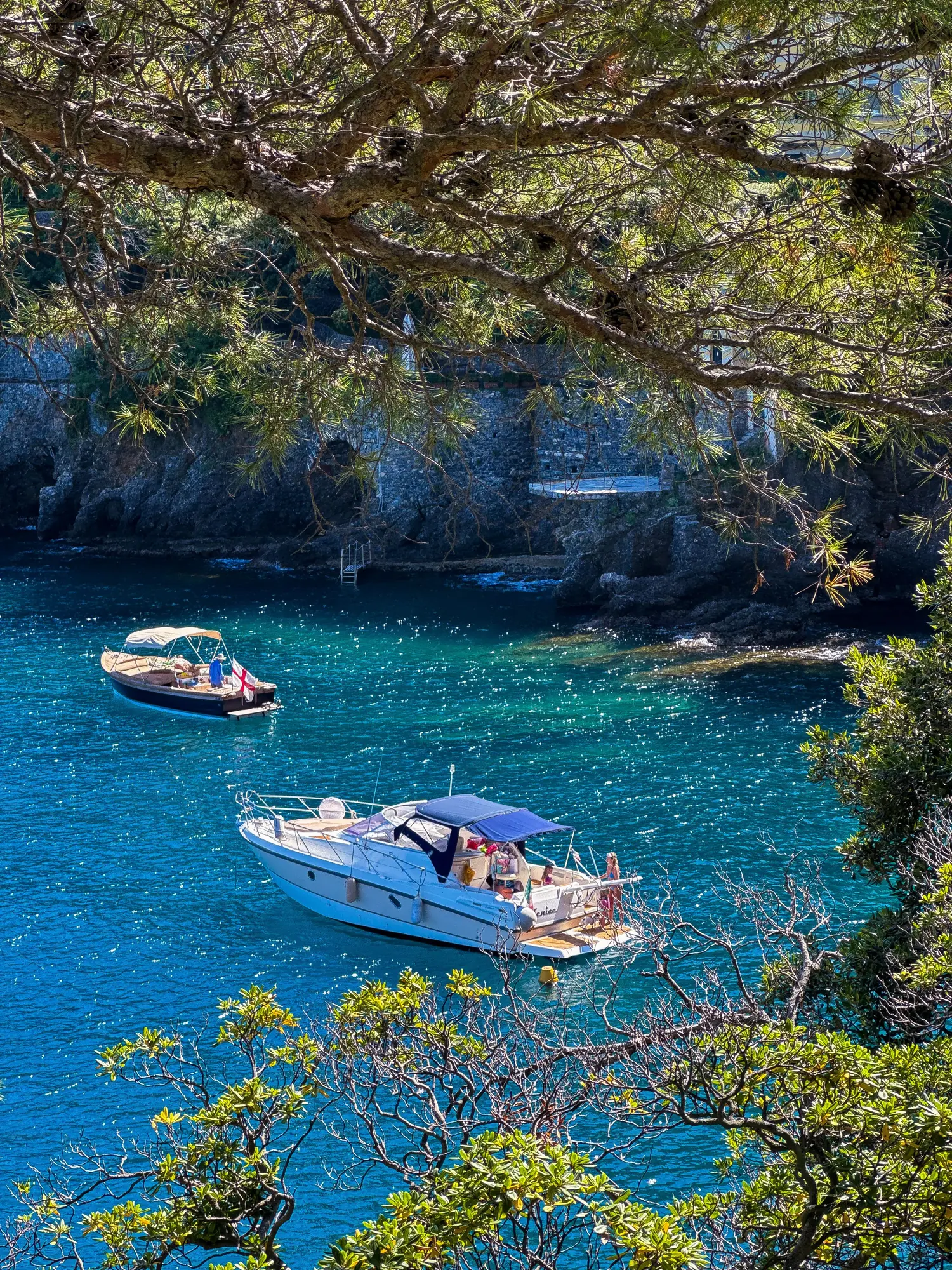 A white motor yacht and a wooden launch at anchor in a clear blue cove, framed by pine branches